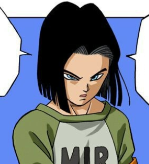 Number17png — DBS Manga Even More Serious Power-Scaling option 31