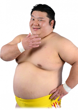 Gotaihashipng — DDT Wrestling roster option 7