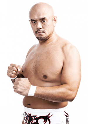 Junakiyamapng — DDT Wrestling roster option 11