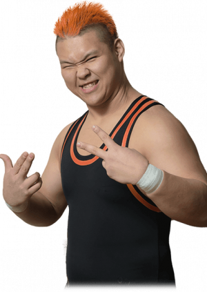 Naomiyoshimurapng — DDT Wrestling roster option 22