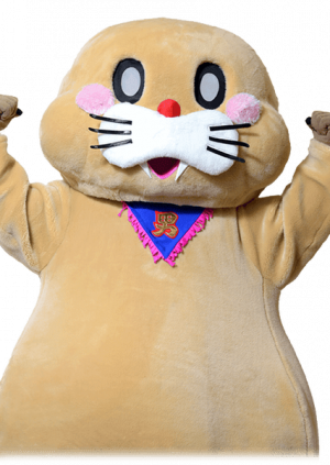 Pokotanpng — DDT Wrestling roster option 24