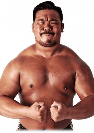 Yukiiinopng — DDT Wrestling roster option 35