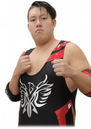 Yukionayapng — DDT Wrestling roster option 36