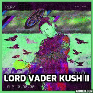 Lordvaderkushiijpg — Denzel Curry Songs option 38