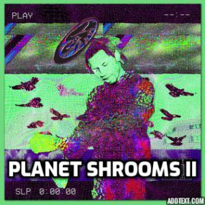 Planetshroomsiijpg — Denzel Curry Songs option 48