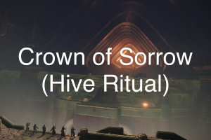 59042c9d 874f 44fa 8c06 B0308c620bdfjpeg — Destiny Raid Encounters (January 2021) option 20
