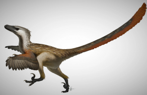 01velocirraptorjpg — Dinosaurios y Animales Prehistóricos option 2