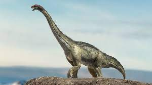 02brontosauriojpg — Dinosaurios y Animales Prehistóricos option 3