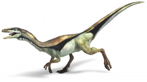 04compsognathusjpg — Dinosaurios y Animales Prehistóricos option 5