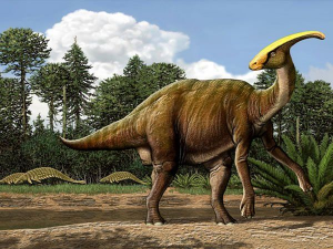 05parasaurolophusjpg — Dinosaurios y Animales Prehistóricos option 6