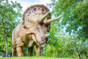 08triceratopsjpg — Dinosaurios y Animales Prehistóricos option 9