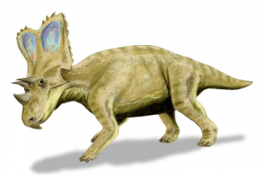 09chasmosaurusjpg — Dinosaurios y Animales Prehistóricos option 10