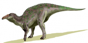 16edmontosaurusjpg — Dinosaurios y Animales Prehistóricos option 17
