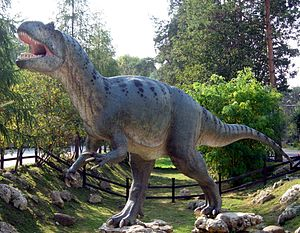 18allosaurusjpg — Dinosaurios y Animales Prehistóricos option 20
