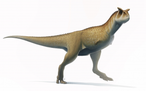 19carnotaurusjpg — Dinosaurios y Animales Prehistóricos option 21