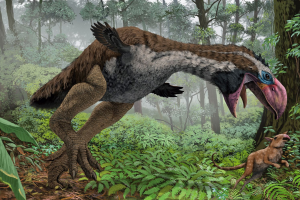 N2gastornisjpg — Dinosaurios y Animales Prehistóricos option 23