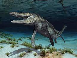N3mosasaurusjpg — Dinosaurios y Animales Prehistóricos option 24