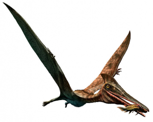 N4pterodctilojpg — Dinosaurios y Animales Prehistóricos option 25