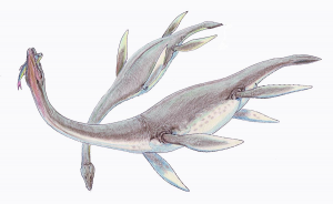 N5plesiosauriojpg — Dinosaurios y Animales Prehistóricos option 26