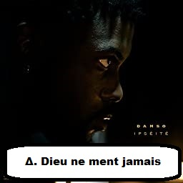 Dnmljpg — Discographie de Damso option 19