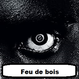 Feu Deboisjpg — Discographie de Damso option 24