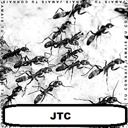 Jrcjpg — Discographie de Damso option 34