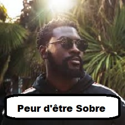 Peursobrejpg — Discographie de Damso option 61