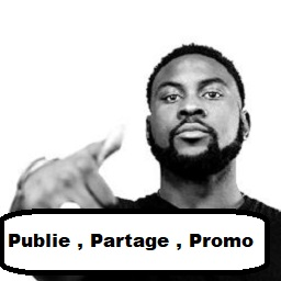 Publiejpg — Discographie de Damso option 66