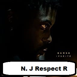 Respectjpg — Discographie de Damso option 71