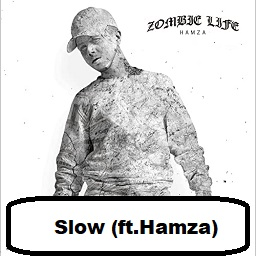 Slowjpg — Discographie de Damso option 77