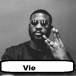 Viejpg — Discographie de Damso option 87
