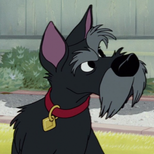 Profile Jockjpg — Disney Animals option 77