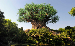 Disneys Animal Kingdomjpg — Disney Parks around the world! option 4