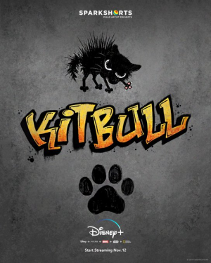 Zz1572466405eiinhumu8ai76mojpg — Disney Plus Originals option 13