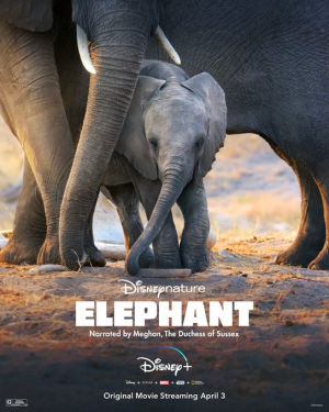 Zz1585319530euc0dxlvaaypo6yjpg — Disney Plus Originals option 32