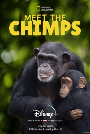 Zz1601553300meet The Chimps Poster Scaledjpeg — Disney Plus Originals option 56