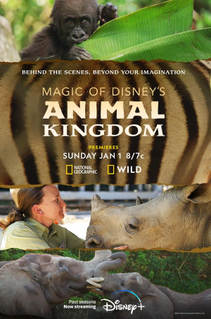Zzzzz 1677728282a0fa1472b8bb4af2ec1040f8659fdb42jpg — Disney Plus Originals option 233