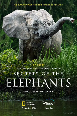 Zzzzz 1681160192secrets Of The Elephants Poster — Disney Plus Originals option 250