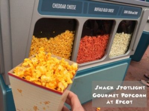 2a464b42 2fcf 4505 974f C7cb394116f0jpeg — Disney World Snacks option 3