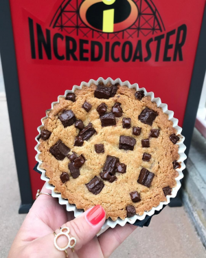 78e8103c F9a0 4304 A008 2f1a7897993bjpeg — Disney World Snacks option 10