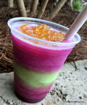 96ac7953 3b96 4c67 Aa09 Bf7f165cfc3ejpeg — Disney World Snacks option 16