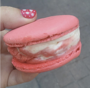 Cbd1cd2b E3a7 4a05 Acf0 Ac72591016ccjpeg — Disney World Snacks option 23