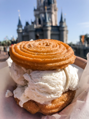 Cc1f9fd5 C37f 4a15 A822 A9a85ea1240bjpeg — Disney World Snacks option 24