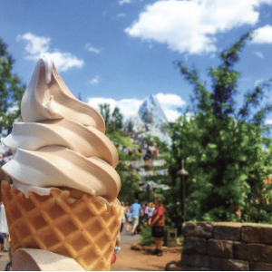 Cd3a5022 D0f9 484b 9e72 3fcf18be55d2jpeg — Disney World Snacks option 26