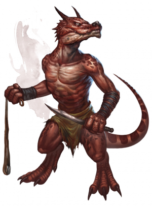 636252780450300625jpg — DnD Races Ranked option 10