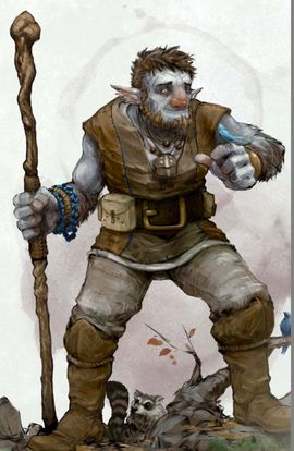 Firbolg 5ejpg — DnD Races Ranked option 28