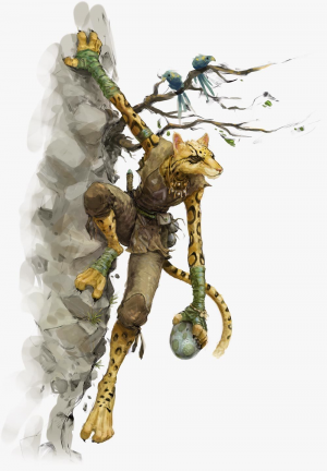 Tabaxi 5ejpg — DnD Races Ranked option 38