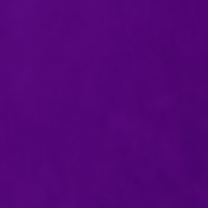 Purpledjpeg — do you follow these minecraft streamers? (mostly dsmp) option 24