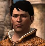 Carverprofilejpg — Dragon Age Companion and Advisor Rankings option 6