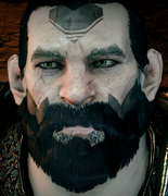 Lieutenant Rennpng — Dragon Age Companion and Advisor Rankings option 18